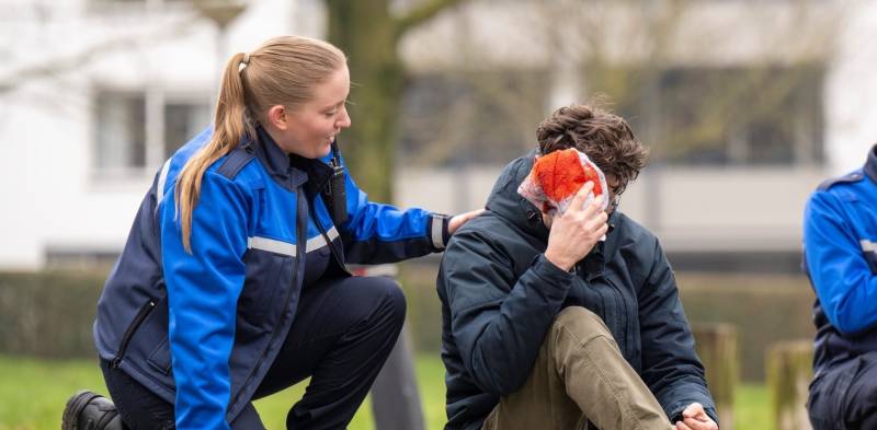 Handhaver toezicht en veiligheid